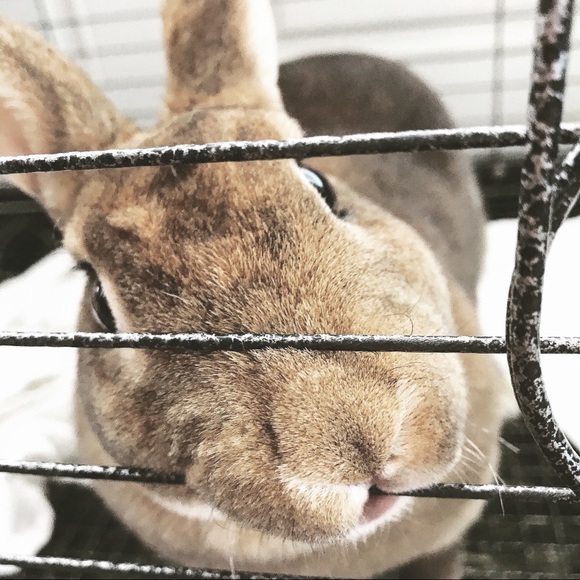 Profile Picture of Chandler Barrett (@chandlerbeyond) on Poshmark