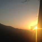 Profile Picture of Max Palma Prieto (@mxpalma) on Instagram
