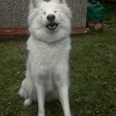 Profile Picture of Matthew Mcgranaghan (@McgranMatthew) on Twitter