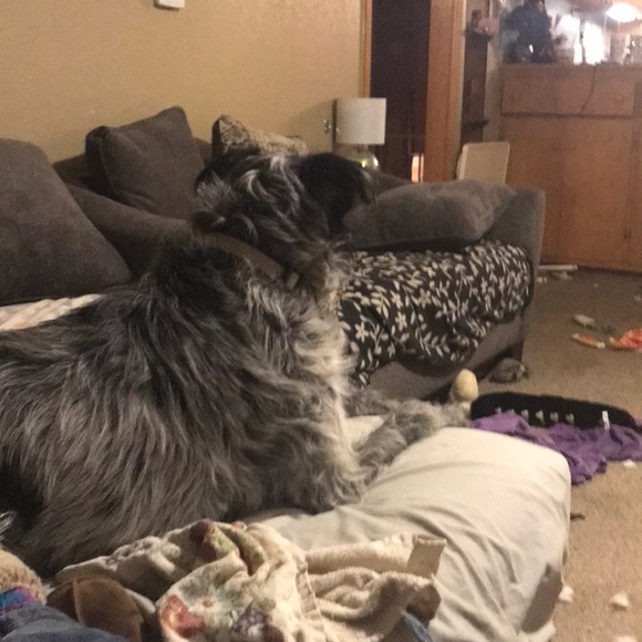 Profile Picture of Nancy Alexander (@halliwellfan101) on Poshmark