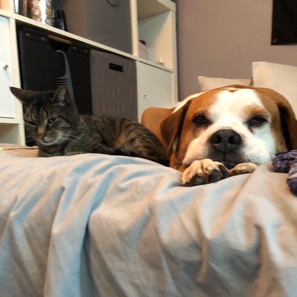 Profile Picture of Rebecca Paul (@rebelllll) on Poshmark