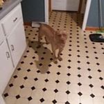 Profile Picture of David Cruise (@david.cruise.7528) on Instagram