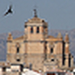 Profile Picture of altiplarural (@altiplarural) on Flickr