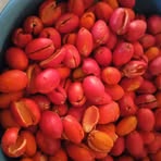 Profile Picture of Hestia Tia (@Hestia-Tia) on Facebook