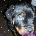 Profile Picture of Colin Crabtree (@colin.crabtree.79) on Facebook