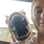 Profile Picture of Siobhan Quinn (@huckleberry_siobhan) on Instagram