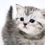 Profile Picture of hazelsheryl (@hazelsheryl) on Instagram