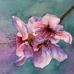 Profile Picture of Donna Pierce Clark (@donnapierceclarkartist) on Instagram