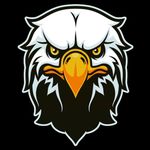 Profile Picture of Garvey/Allen STEAM Academy (@garveyallenacademy) on Instagram