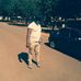 Profile Picture of Nicholas Chafa (@nicholas.chafa.1) on Facebook