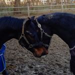 Profile Picture of Friemel und Fiddy🦄 (@friemel_and_fiddy) on Instagram