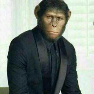 Profile Picture of Joy Morrison (@JoyMorrison19) on Twitter