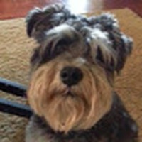 Profile Picture of Maria Calder (@maria-calder-5) on Quora