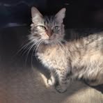 Profile Picture of Brent Winter Jr. (@Brent-Winter-Jr) on Facebook