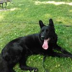 Profile Picture of mason thomas lamonte (@mason_lamonte23) on Instagram