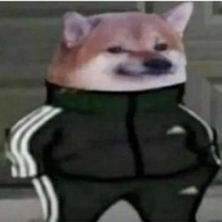 Profile Picture of Oswaldo Flores (@oswaldoflores5) on Twitter