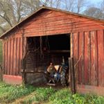 Profile Picture of Keith Worley (@worleyandsons) on Instagram