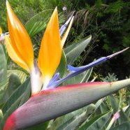 Profile Picture of Alice Harel (@alice.harel.1) on Facebook