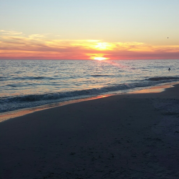 Mistel Carter - Poshmark Profile Picture of Mistel Carter (@misjada12) on Poshmark