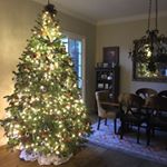 Profile Picture of Kevin Nowicki (@krnowicki) on Instagram