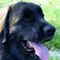 Profile Picture of Peter Crotty (@peter.crotty.399) on Facebook