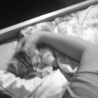 Profile Picture of Niclas Mahler (@niclas.mahler.94) on Facebook