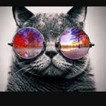 Profile Picture of 🤘😎🎣🚤FOR LIFE. (@joshuacairns76) on Instagram