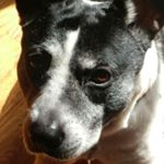 Profile Picture of Hazel Adams (@xxunicornmobilexx) on Instagram