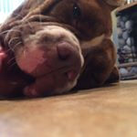 Profile Picture of Jimmy_moore523 (@jimmy_moore_523) on Instagram