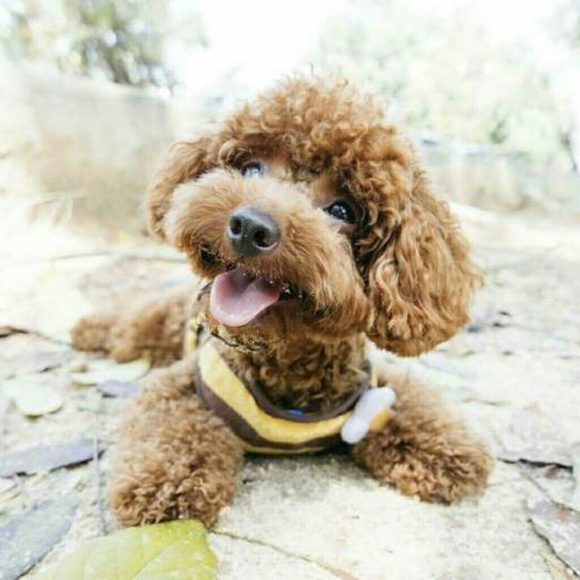 Profile Picture of Faith Engelby (@fengelby) on Poshmark