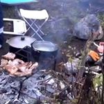 Profile Picture of Valery Wright (@vavilov.yaw) on Instagram