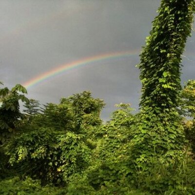 Profile Picture of Mabel Lopez Gonzalez (@nixa04) on Twitter