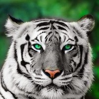 Profile Picture of Farah Shahid (@farah-shahid-1) on Quora