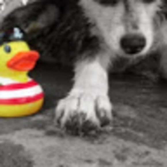 Profile Picture of Ashton Stempert (@8bitashton) on Poshmark