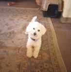 Profile Picture of Jeff Broas (@Jeff-Broas) on Facebook