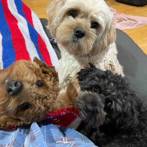 Profile Picture of Lisa Mcfadden (@lisamcfadden123) on Poshmark