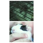 Profile Picture of Franco Benjamín Mattarollo (@benjamattalorcraft) on Instagram