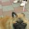 Profile Picture of Claudia Chou (@claudia.chou.773) on Facebook