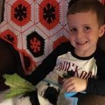 Profile Picture of Robin Faught (@robinfaught) on Instagram