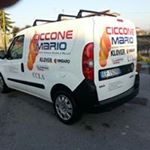 Profile Picture of Mario Ciccone (@mciccone24) on Instagram