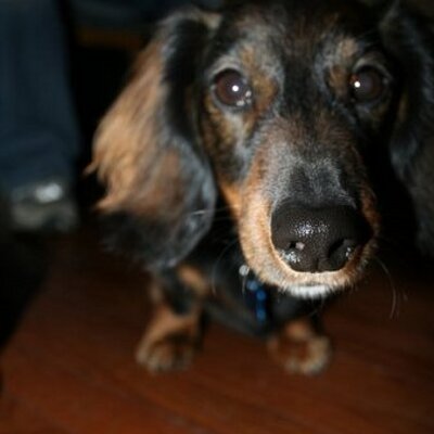 Profile Picture of Brian Johnston (@effesyou) on Twitter