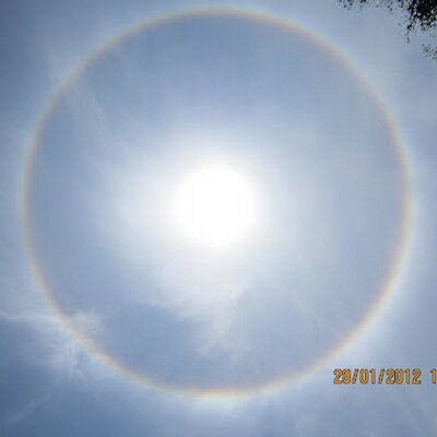 Profile Picture of Carmen Rosa Cheng (@carmenrosacheng) on Twitter