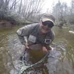 Profile Picture of Steve Gunning (@gunning_steve) on Instagram