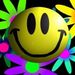 Profile Picture of Yesser Dimachkie (@dimachkie) on Pinterest