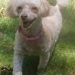 Profile Picture of chris camuso (@chriscamuso) on Instagram