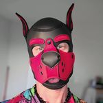 Profile Picture of Kobe James (@pup_kingkobe) on Instagram
