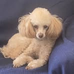 Profile Picture of Arcangela Conte (@arcangela.conte.7) on Facebook