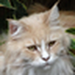 Profile Picture of Nick Hudson (@ghostoftomjoad) on Flickr