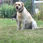 Profile Picture of Ricardo A. Montesinos Gerrero (@rmontes8454) on Instagram