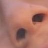 Profile Picture of Anthony Toscano (@Tony_baloney22) on Twitter
